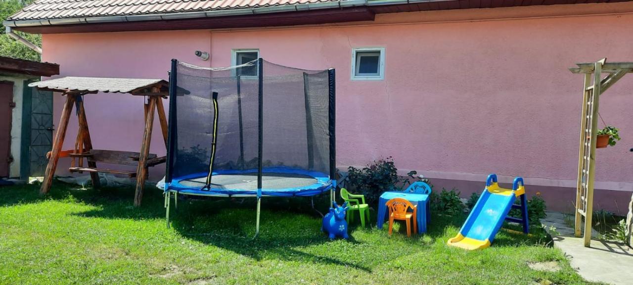 Casa Argentina Βίλα Cîrţişoara Εξωτερικό φωτογραφία