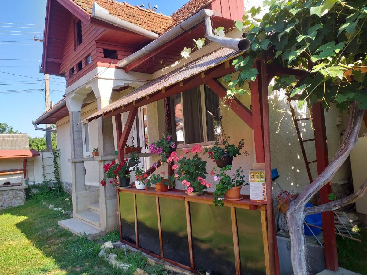 Casa Argentina Βίλα Cîrţişoara Εξωτερικό φωτογραφία