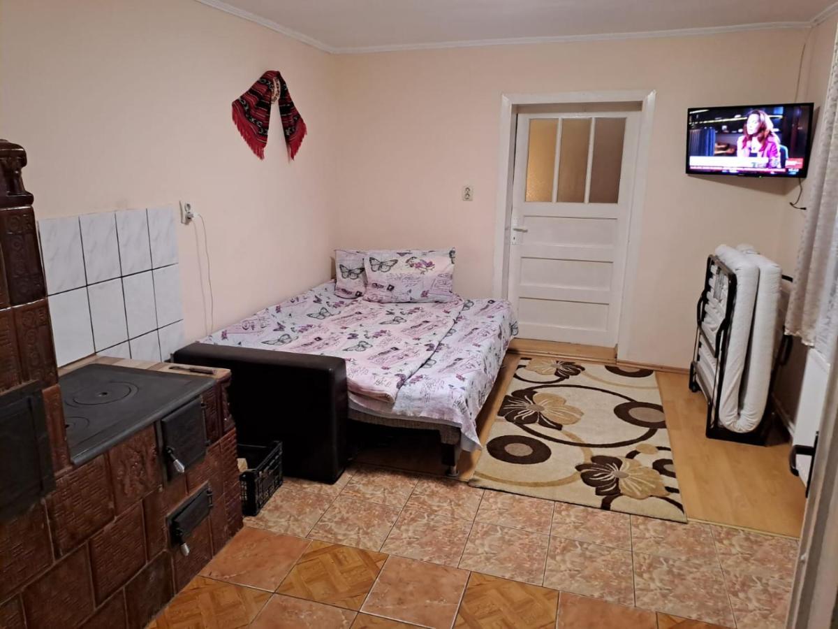 Casa Argentina Βίλα Cîrţişoara Εξωτερικό φωτογραφία