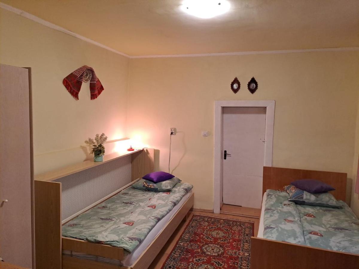 Casa Argentina Βίλα Cîrţişoara Εξωτερικό φωτογραφία