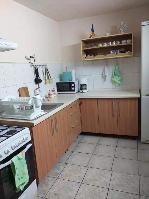 Casa Argentina Βίλα Cîrţişoara Εξωτερικό φωτογραφία
